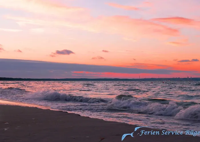 Villa Vogelsang 10 Lachmöwe Binz