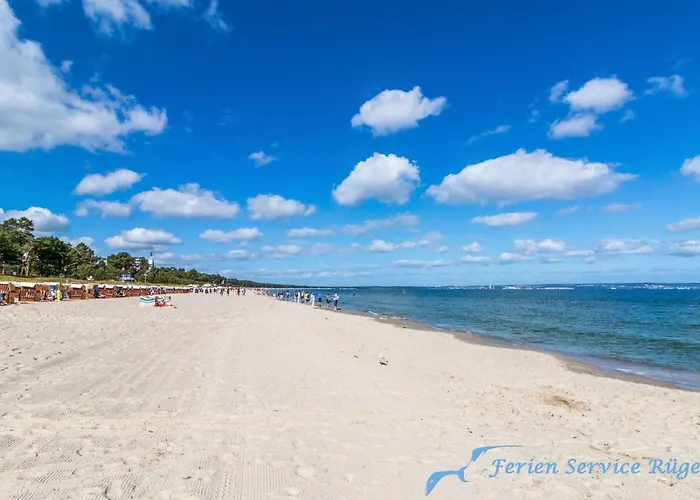 Villa Vogelsang 10 Lachmöwe