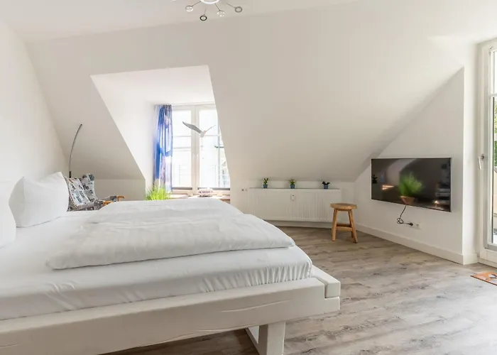 Vogelsang 10 Lachmöwe Villa Binz