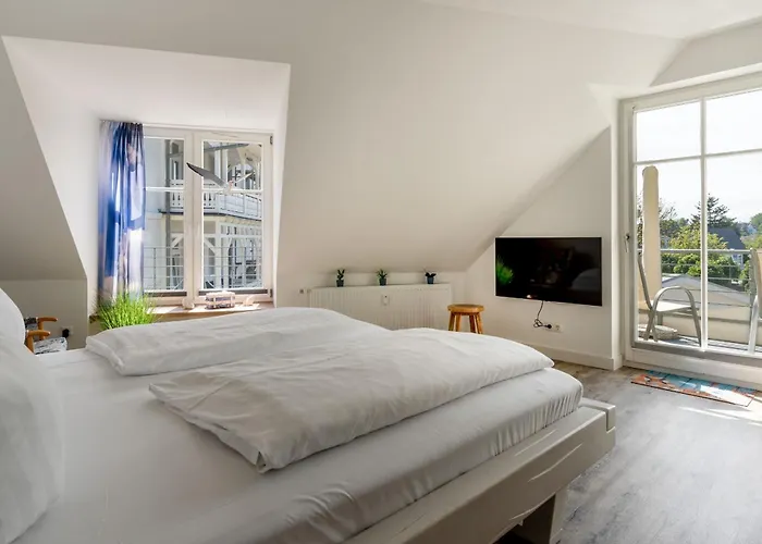 Vogelsang 10 Lachmöwe *